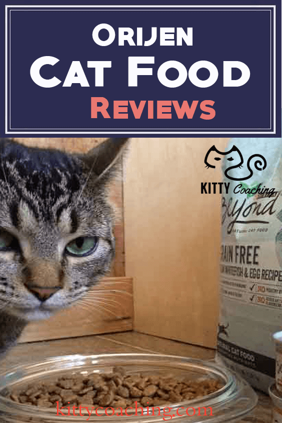 Orijen Cat and Kitten Review Cat Food Pet Food Reviewer
