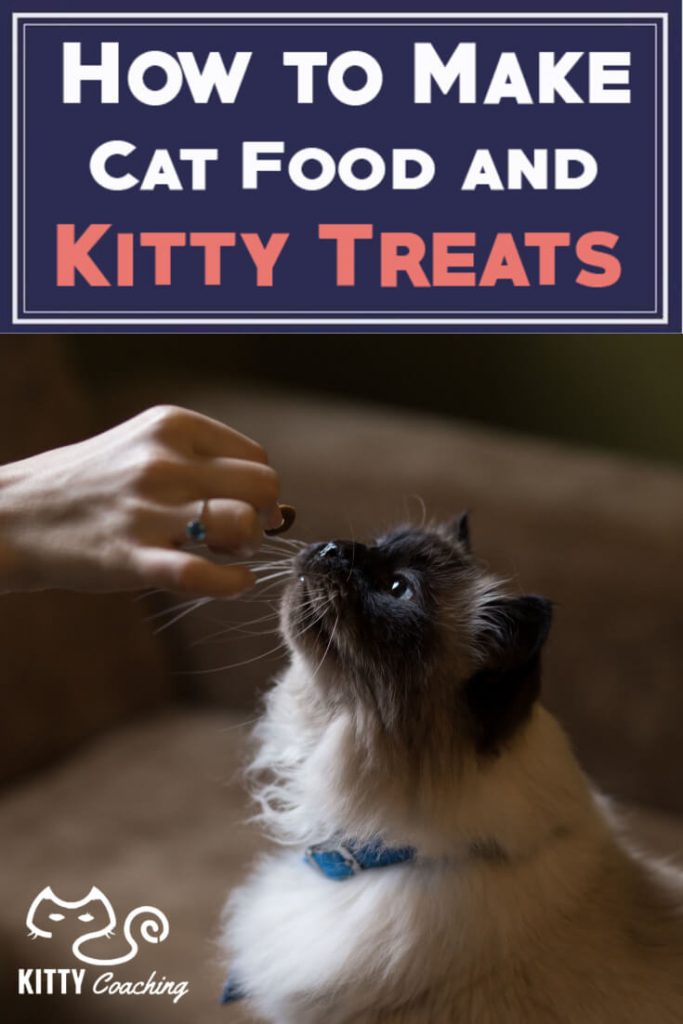 How to Make Cat Food