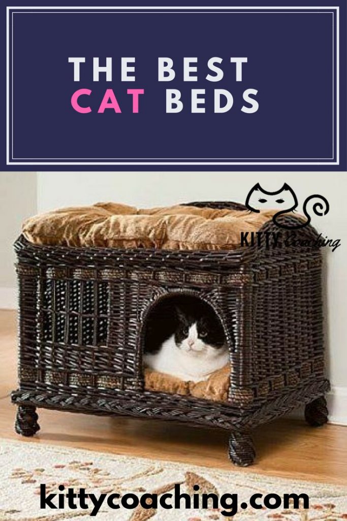 the 5 best cat bed reviews